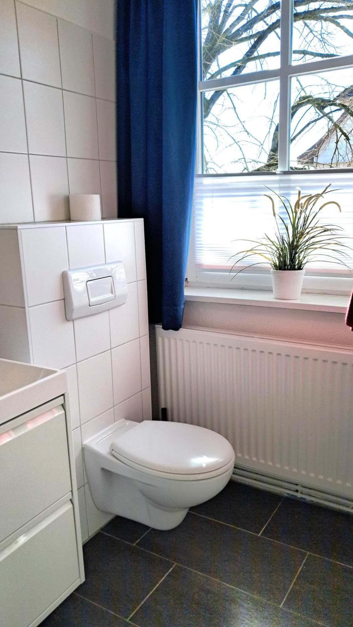 Apartment Brauner Hirsch Celle Eksteriør bilde