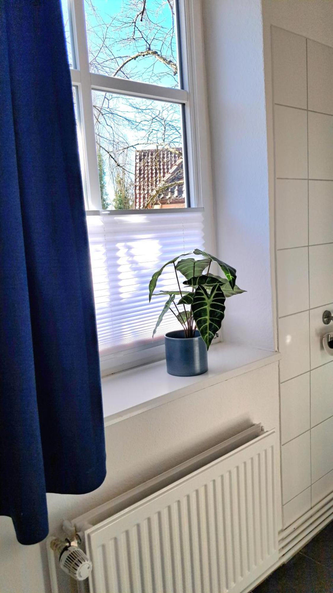 Apartment Brauner Hirsch Celle Eksteriør bilde